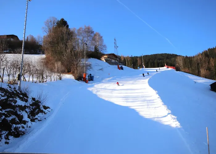 Apartamento Fabian By Interhome *